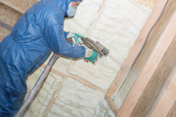 Trusted Swannanoa, NC Insulation Experts